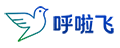 呼啦飞